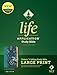 NLT Life Application Study Bible, Third Edition, Large Print (LeatherLike, Meadow Teal, Red Letter)