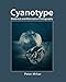 Cyanotype: Historical and alternative photography