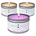 Wax and Oils Soy Wax Aromatherapy Scented Candles, Lavender, Vanilla & Peppermint Eucalyptus, 8 oz (Pack of 3)