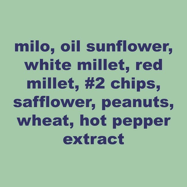 BestNest Wild Bird Seed Mix, Firebird Blend, 25 lbs.
