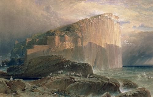 Lienzo decorativo el Bass Rock, pintura mural para transformar tu dormitorio en un oasis