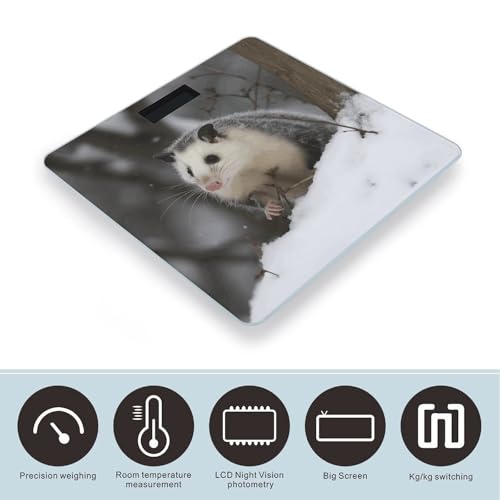 Báscula digital para baño Opossum In Snow 180 kg miniatura 3