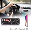 Módulo Amplificador Bluetooth 4.2 160W Módulo Amplificador Bluetooth 5.0 para Audífonos de Coche Altavoces Sistema de Sonido para Hogar DIY 8