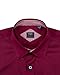 Alimens & Gentle Burgundy Dress Shirt for Men Long Sleeve No Iron Flex Business Formal Office Wedding Button Down Shirt L
