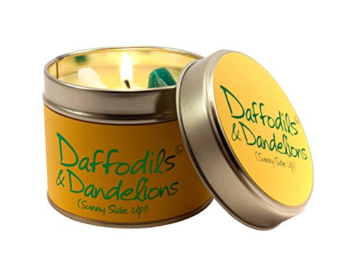 Lily Flame Lata de narcisos y Dientes de león, Amarillo