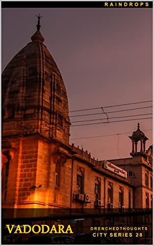 Vadodara in 5 Words: City Series: 2021 Series (English Edition)