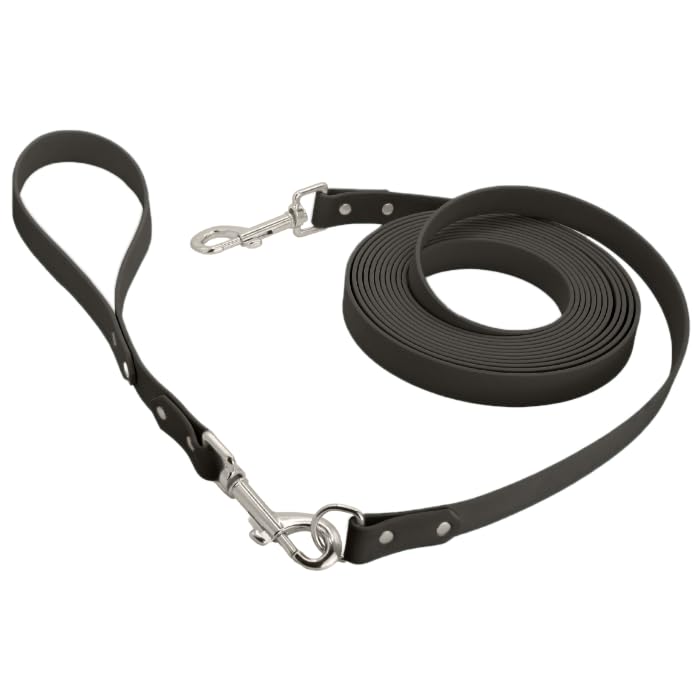 5m Kurze Schleppleine 19mm mit abnehmbaren Kurzführer (ohne Handschlaufe/Kein Verheddern) Extra Breite 19mm für alle Hunde (Schwarz - Gurtband)