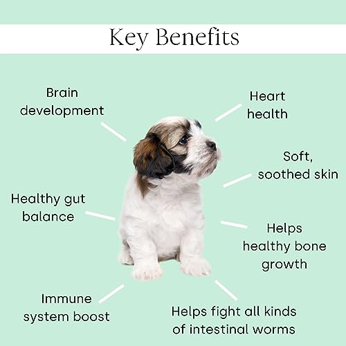 Scooch Puppy Supplements Dog Vitamins and Supplements 60 Crunchy Chews, 100% Plant Based - Image 2