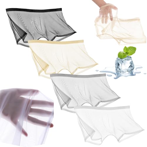 Ice Silk Sexy Mesh Full Transparent Boxer See Through Breathable Shorts Underwear Hollow Briefs for Men
