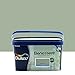 Dulux Benessere Pittura Colorata all'Acqua per Interni Superlavabile Anti Muffa Anti Batteri con Ioni D'Argento, 2.5 Litri, Verde Intenso, 2.5L