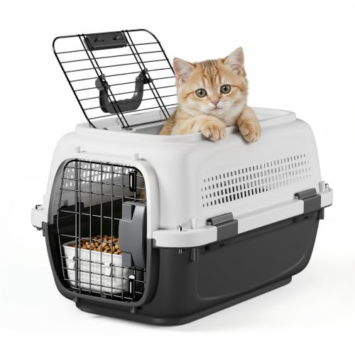 19.5″ Hard-Sided Pet Carrier for Small Dogs & Cats, Cat Carrier Hard | Front & Top Door Access, 4-Sided Ventilation Design, Secure Lock, Feeding Bowl Included, for Small Pets up to 20 lbs, Gray
