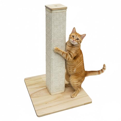 eyepower 62 cm Kratzbaum Luca - Eckige Kratzsäule für Katzen mit Bambus Holzplatte - Katzenkratzbaum Klein mit M8 Sisalstamm Beige - Kratzstamm...