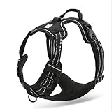Fashion Shop Best Front Range No-Pull Dog Harness 3M Reflective Outdoor Adventure Pet Vest with Handle. 3 Stylish Colors and 5 Sizes.-Black L