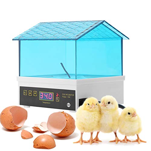 Egg Incubator, Mini Digital Egg Hatcher Poultry Hatcher Clear Temperature Control for Chicken Duck Bird Quail