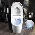Celestique One Piece Bidet Toilet for Bathrooms Smart Bidet Toilet with Warm Air Dryer Heated Seat LED Night Light Auto Open/Close Toilet