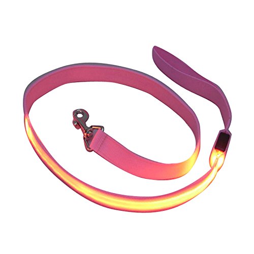 Futaba Nylon Led Leash Dog Safety Glow Rope - 120Cm - Pink (B07857NZ6Z) Amazon Price History, Amazon Price Tracker