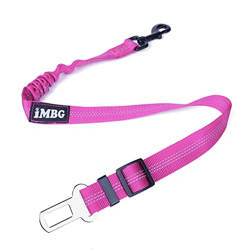 10 Best Seat Harness [Buying Guide 2023] • Sacred Car