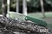 Ganzo Firebird FH41-GB Pocket Folding Knife D2 Steel Blade G10 Anti-Slip Handle with Clip Fishing Hunting Camping Outdoor Flipper EDC Pocket Knife Best Gift for Men and Women (Green)