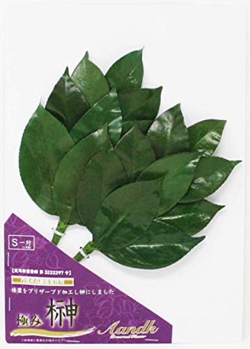 [A&K] ߖ^Cv  ɂ S YVR ֐tgp ΍ Ȃ 芷sv Ԃ炸 sv Ԃ̂ɍœK vU[uhH  nhCh pVēo^ 3222297 Ԏ芷sv  s