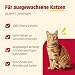 animonda Carny Country Katzenfutter nass Home Mix (6 x 100g), getreidefreies Katzen Nassfutter ohne Zucker, mit frischen fleischigen Zutaten