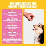 ivvi Trainingssnacks für Hunde – 73% Lachs, Omega-3 & Salbei-Komplex – Unterstützt Gedächtnis & Konzentration – Proteinreich, kalorienarm, ohne künstliche Zusätze