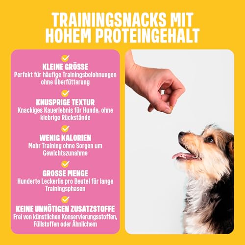 ivvi Trainingssnacks für Hunde – 73% Lachs, Omega-3 & Salbei-Komplex – Unterstützt Gedächtnis & Konzentration – Proteinreich, kalorienarm, ohne künstliche Zusätze