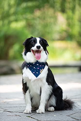 Paws Wishes Dog Bandanas, Pet Friendly Shape, Water And Wrinkle Resistant, Set D.c. Spring Flamingo, Adjustable Dog Scarfs For Medium Boy Girl Dogs #TOP3