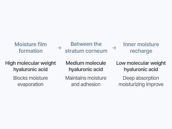 Wellderma Premium Hydro Toner Pad, 250ml / 60 Pads – Hydrating & Firming with Collagen Water 50,934ppm, 7 Peptides & 6 Hyaluronic Acids, Large 75mm Size - Image 6
