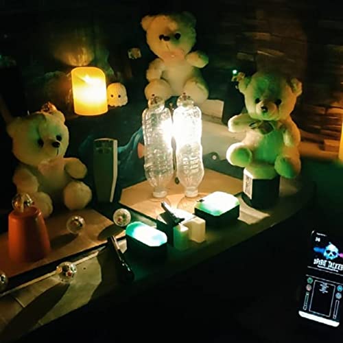 Couverture de Somerset Paranormal Tales