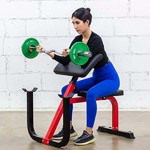 Preacher Curl Weight Bench Arm Machine - Roman Chair Hyperextension Bench Back Training Heavy Duty Weight Home Gym Equipment, Max Load 300Kg #TOP1