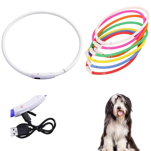 Lifetips rAfbhER[iBearded Colliej Lp LED USB[d h y _炩VR 7FC{[ ԎU S΍ TCY 铹Cg (zCg)