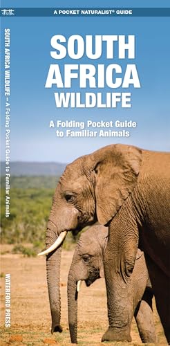 South Africa Wildlife: A Folding Pocket Guide to Familiar Animals (Nature Observation International)