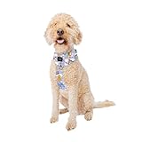 Sassy Woof Dog Adjustable Harness - Disney Princess Aladdin Jasmine - L, Breathable Mesh, No Pull Design with Two D-Rings, Ideal for Large Dogs - Officially Licensed