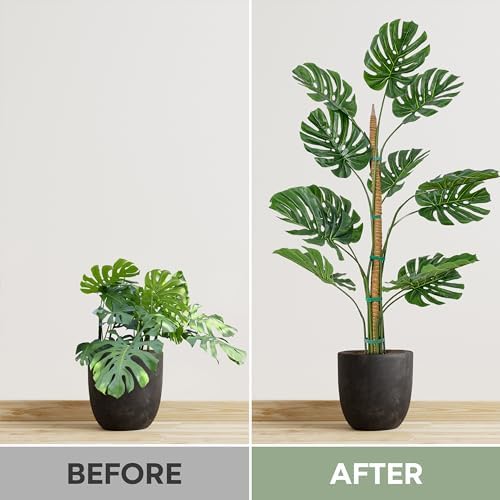2 Pack 63'' Bendable Moss Pole Monstera Plant Support for Large Climbing Indoor Plants - Stakes for Potted Climbers - Tall Sticks Indoor Trellis for Houseplants - Accessories for Monstera Pot - 5