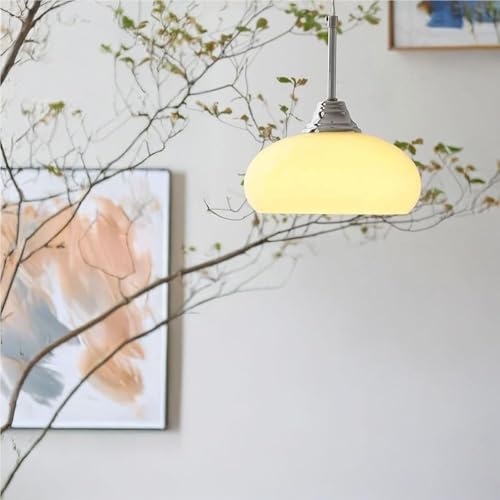 Lámpara de techo escandinava para iluminar zonas oscuras y entradas de casa 7