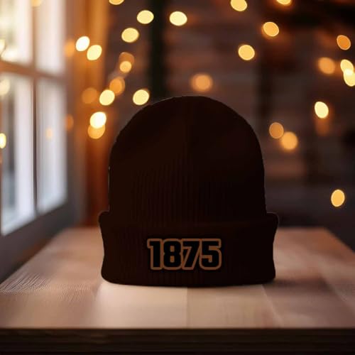 Beanie cuffed 1875 Year marron : bonnet en maille classique à revers - 2
