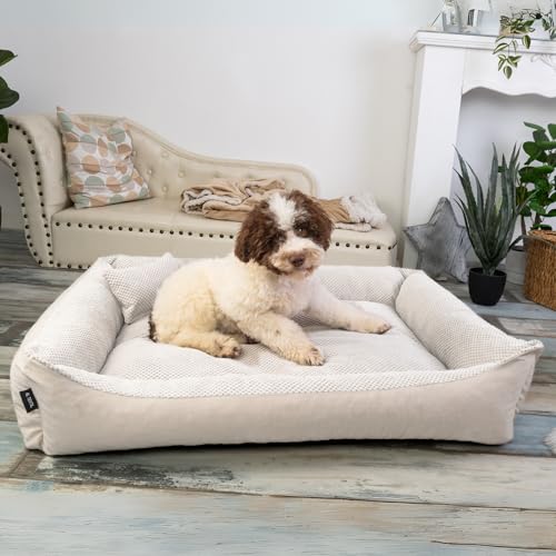 4L Textil Teo Kuscheliges Hundebett Bezug abnehmbar und waschbar Hundekorb mittelgroße Hunde Hundekissen flauschig Hundekörbchen Hundesofa(80x60 cm, Beige)