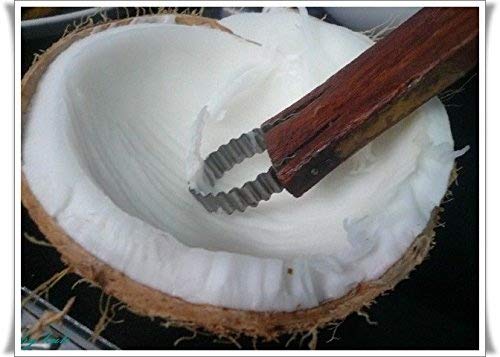 Witnystore Coconut Grater - Vintage Kitchen Tool - Thai Traditional Style Multipurpose Easy To Use Portable Wooden Hand Held Scraper And Shredder For Fresh Or Baby Coconut Meat - 7 X 1 X 0.5 Inches #TOP4