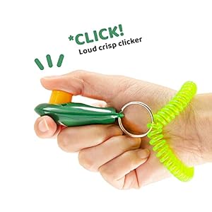 Downtown Pet Supply - Dog Clicker or Cat Training Clicker - Horse, Cat & Dog Training Clickers - with Wrist Strap & Big Button - Nice, Loud Click - 2 Pack Downtown Pet Supply – Dog Clicker or Cat Training Clicker – Horse, Cat & Dog Training Clickers – with Wrist Strap & Big Button – Nice, Loud Click – 2 Pack