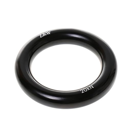 20KN Heavy-Duty Rope Access Rappel Ring