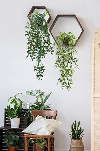 Zifty 3Pcs Fake Hanging Plants Artifical Fake Potted Greenery Faux Eucalyptus Vine Mandala Vine For Wall Home Room Office Indoor Outdoor Decor #TOP6