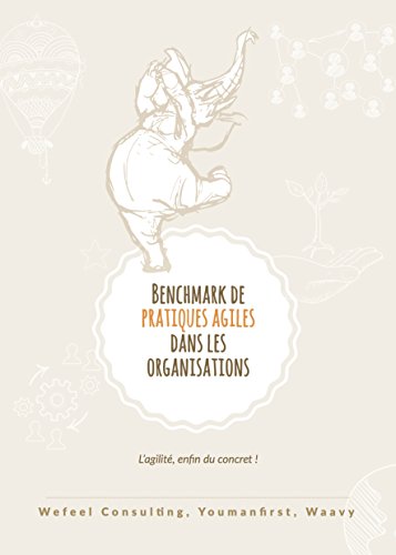 Télécharger Benchmark de pratiques agiles dans les organisations: Illustrations concrètes et photos de voyage Francais PDF