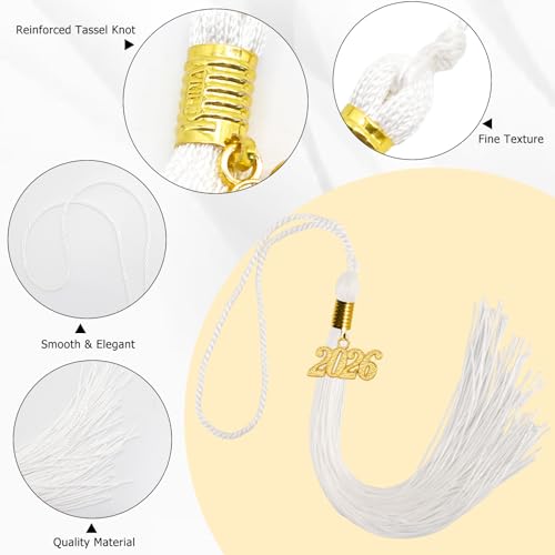 Image of GraduationMall Single&Multiple Color Graduation Tassel with 2026 Year Charm 9 inch