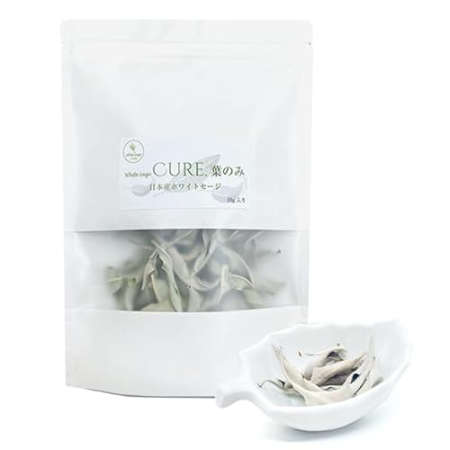 {YzCgZ[W LA t̂10g 򉻃Zbg 򉻎M M  A} p[Xg[