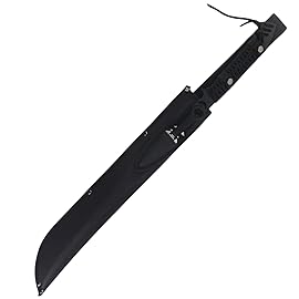 Snake Eye Tactical Fantasy Design Ninja Sword Comes with Nylon Sheath (Silver & Black)
