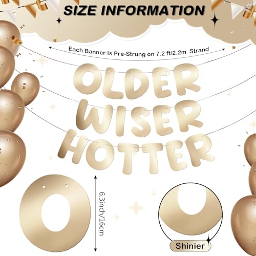 Image of Fulmoon Set of 3 Pre Strung Older Wiser Hotter Glitter Banner Funny Birthday Banner for Women 30th 40th 50th 60th 70th 80th Birthday Party Decorations Sign Gift(Shiny Champagne Gold)