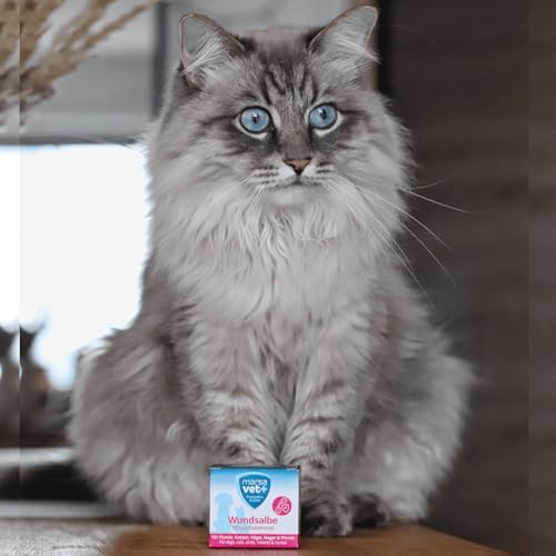 marsavet+ 30ml Wundsalbe für Hunde, Katzen, Vögel, Nagetiere, Pferde und mehr. Zink, Propolis, Hyaluron und D-Panthenol - fördert die Heilung und verhindert Hautentzündungen. Premium-Qualität.