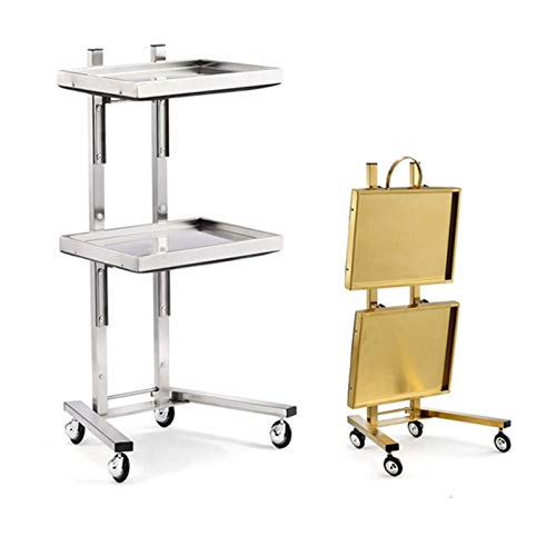 Chariot de coiffure 2 niveaux pour l'organisation de vos outils de coiffeur