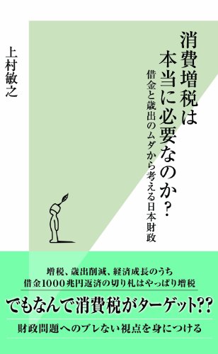 消費増税は本当に必要なのか？～借金と歳出のムダから考える日本財政～ (光文社新書)