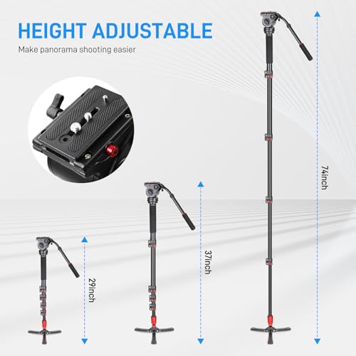 GVM Tripod for Camera 74.8" Tall Camera Tripod Monopod, Professional Heavy Duty Compact Camera Stand for Phone Adjustable Multi-Angle Shot for Video Recording DSLR, Spotting Scope Telescope Binocular by GVM Great Video Maker - Image 7